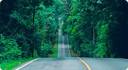 Forest adventure background