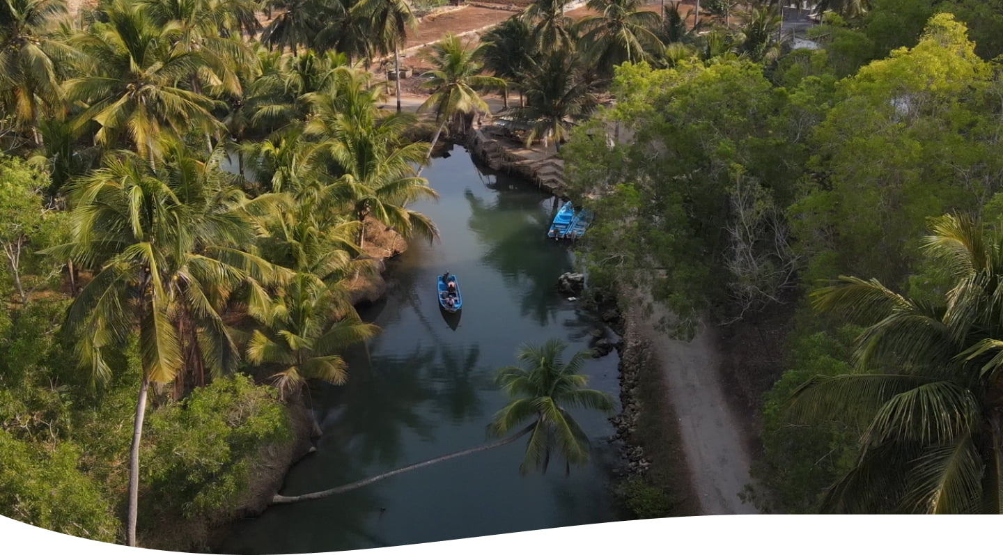 Tropical landscape scene
